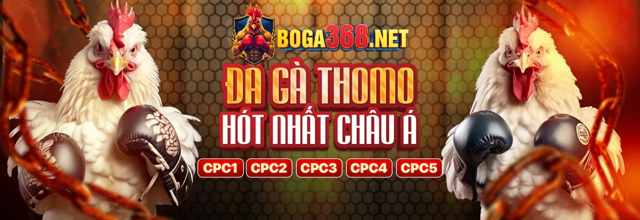 Tin tức nhà cái Oxbet 2026